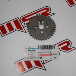 JS 116 - YBR 125 JIANSHE EKSNATRİK DİŞLİ -2006 VE SONRASI UYUMLU-