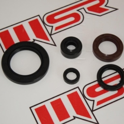 RG 119 - REGAL RAPTOR DD350 / DD250 / MR DESTRO 350 YAĞ KEÇE SETİ