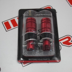 RZM 73 - AYAKLIK KIRMIZI RİZOMA 