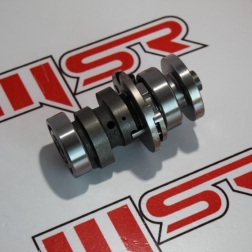 APC 009 - TVS APACHE EKSANTRİK MİLİ