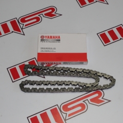 EZN 021 - EKSANTRİK ZİNCİR RX3İ EVO 3*4*100L