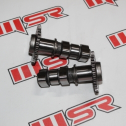 EKS 013 - HONDA CBF 250 TWISTER EKSANTRİK