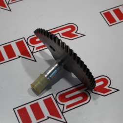 HG 009 - ACTIVA MARŞ YARIM AY DİŞLİ HİNDİSTAN