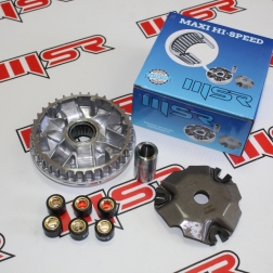 ALF 005C - HONDA ALPHA ÖN VARYATÖR SETİ(BİLYALI) 13.1 GRAM