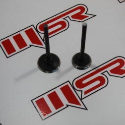 STR250 06 - STR 250-YUKİ İZCİ  SÜBAP TK