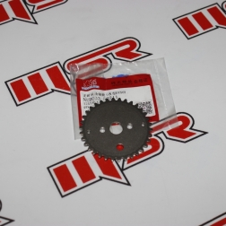 DY 011 - SALCANO ASTRO 125 EKSANTRİK DİŞLİ