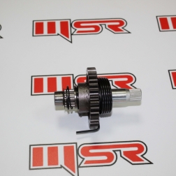 RVO 081 - MONDİAL RX3İ EVO MARŞ MİLİ