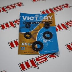 HC 030 - BAJAJ PULSAR 150F KEÇE SETİ