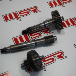 RS 071A - CYGNUS RS 125 ŞANZIMAN SETİ