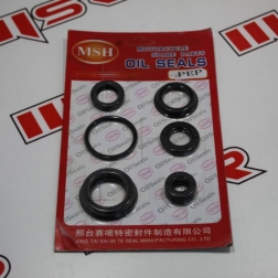 PEP 029 - TVS SCOOTY PEP 75-90 CC KEÇE SETİ 6 LI PRC