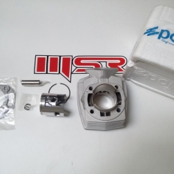 PM 002A - PEUGEOT 46 MM SİLİNDİR SET POLINI PRC