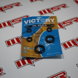 HC 031 - BAJAJ PULSAR NS 200 KEÇE SETİ