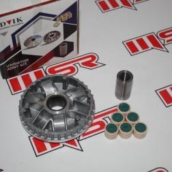 HDV 004 - HONDA SPACE-HERO DUET 110İ VARYATÖR SETİ ADVIK 17.3 GRAM BAGA  HİNDİSTAN