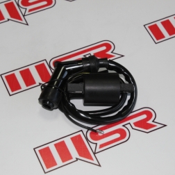 ACE 069 - ACE 125 ATEŞLEME BOBİNİ