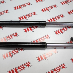 GY 044 - ASYA RX 250 ÖN AMORTİSÖR  TAKIMI