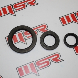 GY 100 - JAGUAR 500 KEÇE TK