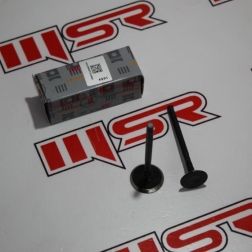 HG 322A - ACTIVA SÜBAP TK USHA