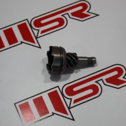 HG 008 - ACTIVA MARŞ PENDİK DİŞLİ HİNDİSTAN