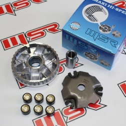 SPN 003D - SPONTİNİ ÖN VARYATÖR SETİ(BİLYALI) 13:1 GRAM