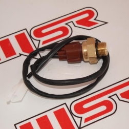 RG 035B - REGAL RAPTOR DD250E-9 / DD250E-9A / MR DESTRO 250 ISI SENSÖRÜ