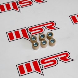 SPN 007 - SPONTİNİ ÖN VARYATÖR6 LI BURÇ 13.10GR 18X14