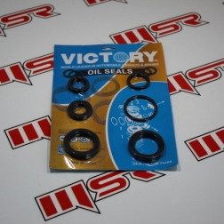 HC 035A - TVS VEGO KEÇE SETİ