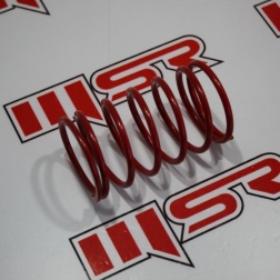 YAY 001 - ARKA VARYATÖR YAYI	BWS 100 MODİFİYE