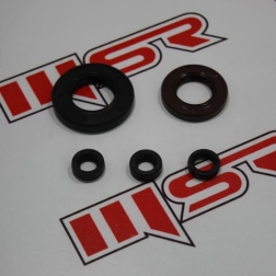 YBR 117 - YBR 125 KEÇE SETİ