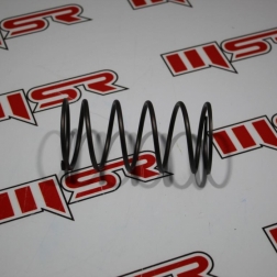 TVS 245 - TVS SCOOTY PEP 75-90 CC ARKA VARYATÖR YAYI A