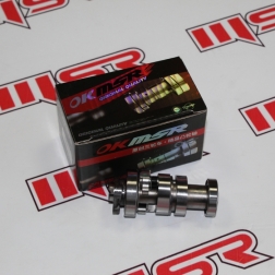 PCX 230A - PCX 125(2021-2024) EKSANTRİK MİLİ MODİFİYE MSR