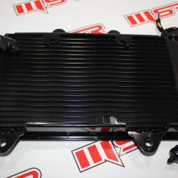 BJJ 268 - PULSAR RS 200 RADYATÖR A