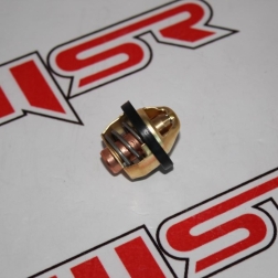 CF5 047C - CF 500 THERMOSTAT