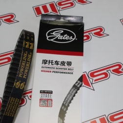 GTS 004 - LH 200 KAYIŞ 696*20 GATES