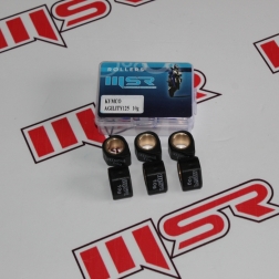 BAG 040 - KYMCO AGILITY 125-SUPER  8 125-LIKE 125  125 VARYATÖR BURCU 10 GR MSR