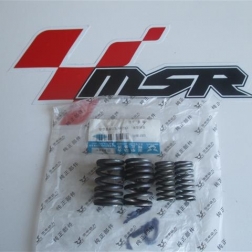 CG 091B - CG 250 SÜBAP YAY TAKIMI 