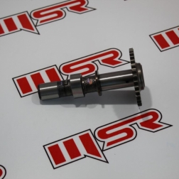 CBR 050 - CBR 250 EKSANTRİK MİLİ COMP OEM