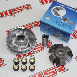 FZY 036B - FIZY 125 ÖN VARYATÖR SETİ(BİLYALI) 18.2 GRAM