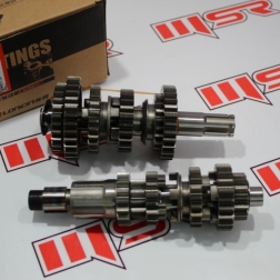 XZ 004 - APACHI XZ 250 17 HP ŞANZUMAN SETİ ORJINAL