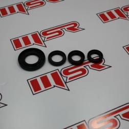 RSL 043 - CYGNUS L KEÇE SETİ OEM