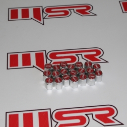 TSB 038 - TEKER SÜBAP KAPAK SYM 20 Lİ PAKET