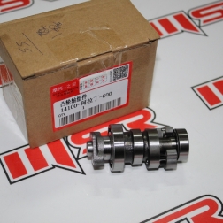 ZZR 055 - KUBA ZENZERO EKSANTRİK