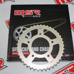 HD 172 - CF 250 SR ARKA ZİNCİR DİŞLİ 41 T MSR GOLD 