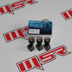 BAG 014 - HONDA ACTIVA VARYATÖR BURCU MODİFİYE 10 GR MSR