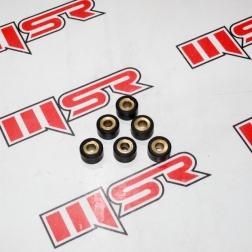 RS 053 - CYGNUS RS 125 T6 LI BURÇ SETİ 15 GRAM  20X12 