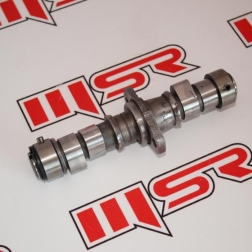 RG 005 - REGAL RAPTOR DD250 / MR DESTRO 250 EKSANTRİK MİLİ