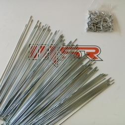 BS 088 - CANT TELİ 2 MM 26*195 SAIGUAN