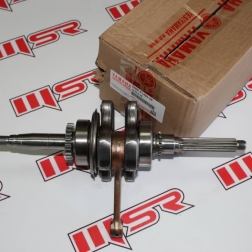 RSL 040B - CYGNUS L KRANK 