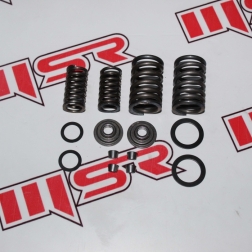 CG 091 - CG 125 SÜBAP YAY TAKIMI SET 