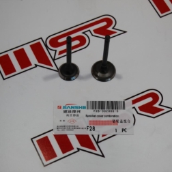 JS 111 - YBR 125 JIANSHE SUBAP TK