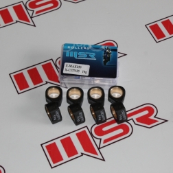 BAG 028 - YAMAHA X-MAX 250*CITY 250 VARYATÖR BURCU MODİFİYE 10 GR MSR